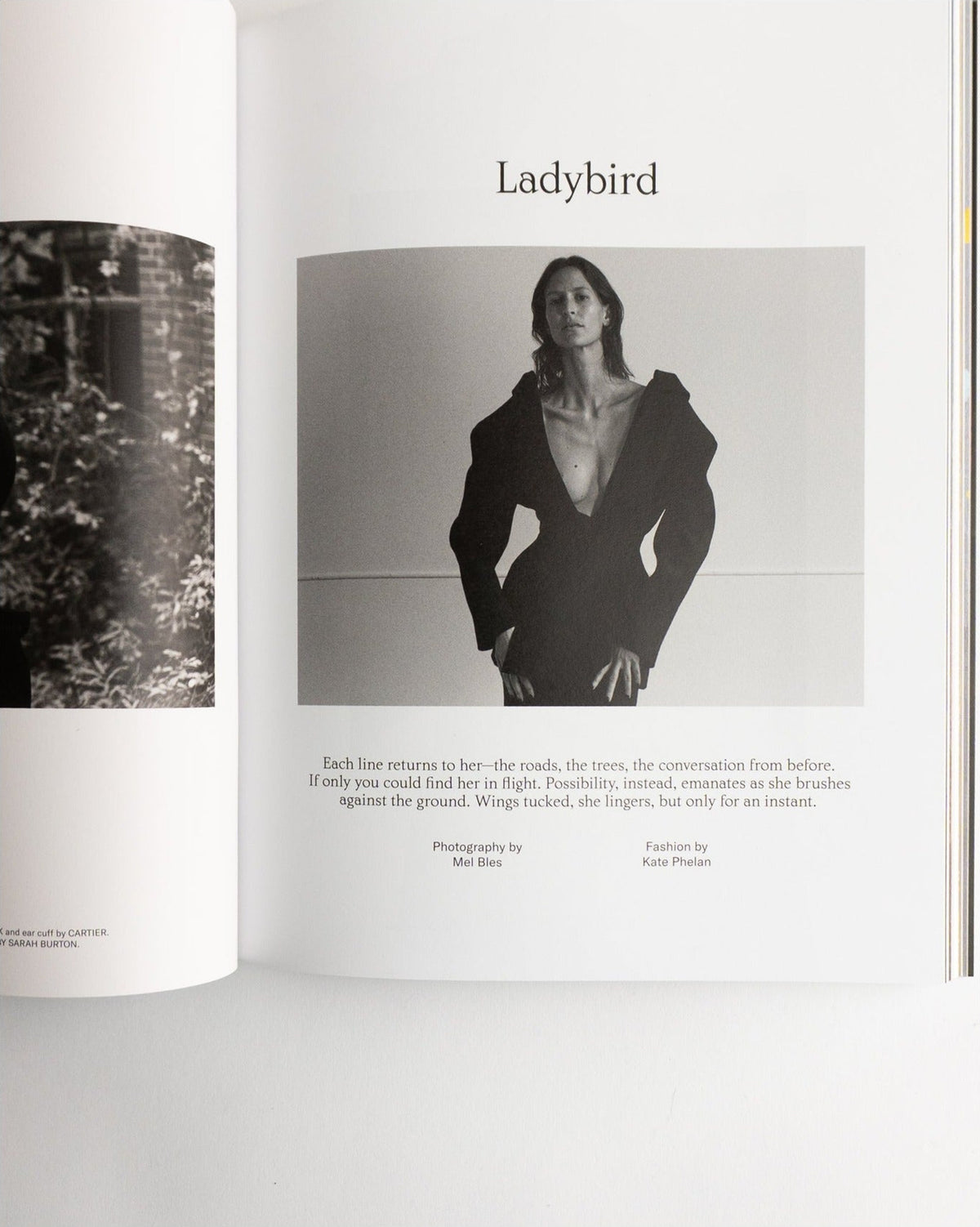 Family Style — Issue 8, inside pages 5