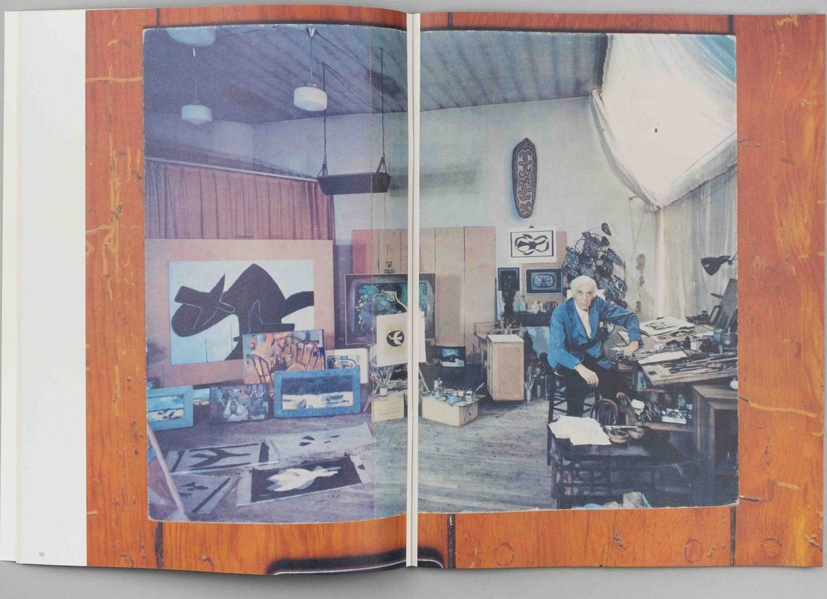 Mark Manders & Roger Willems — The Images of Luis Barragán, inside pages 3
