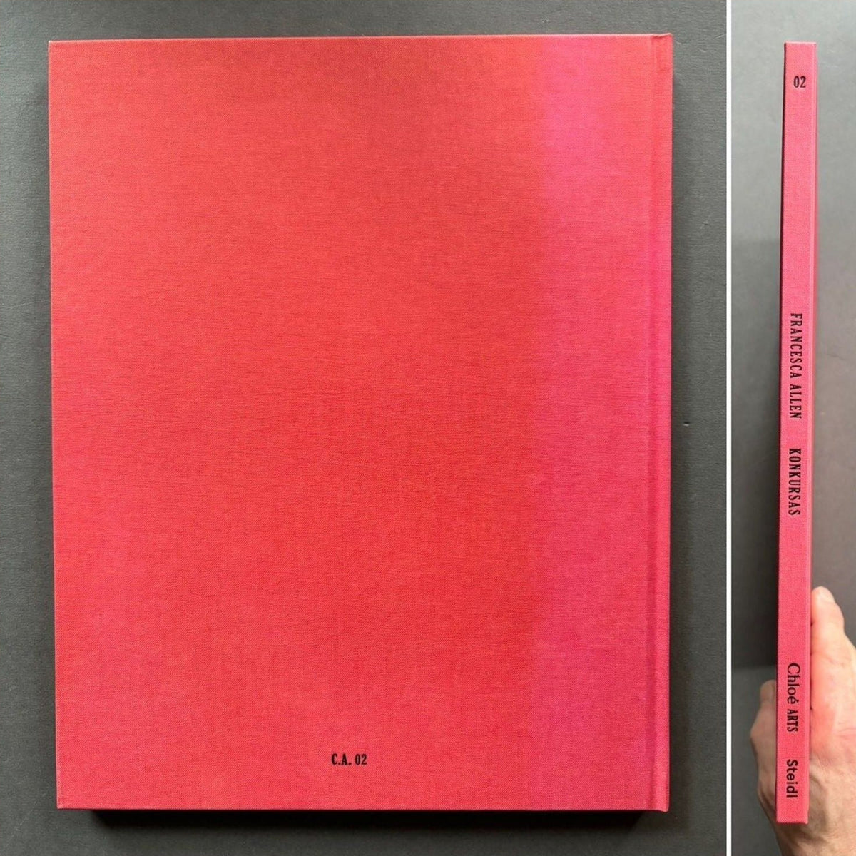 Francesca Allen — Konkursas, back cover