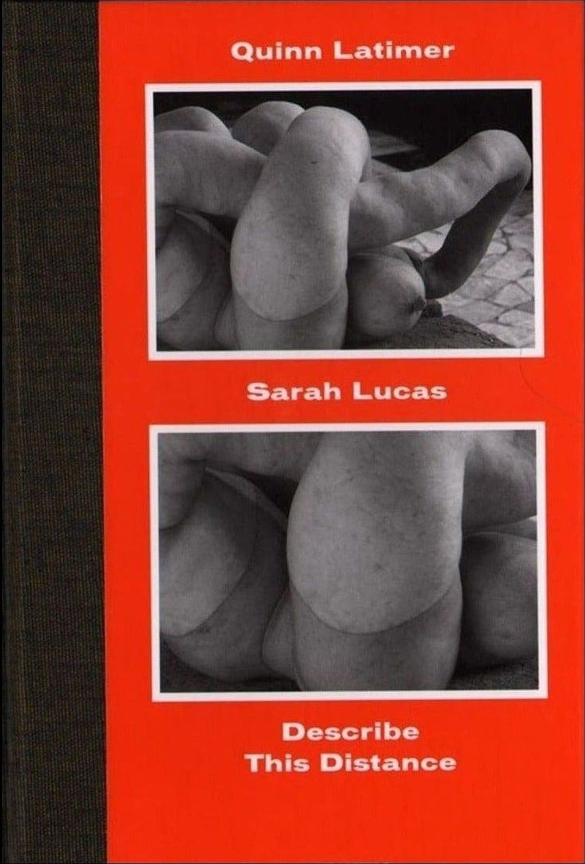 Sarah Lucas, Describe This Distance, cover