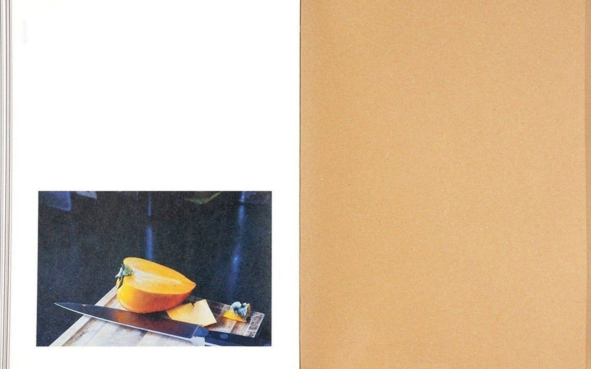 Teju Cole, Golden Apple of the Sun, inside pages 10