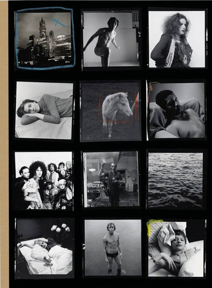 Hujar:Contact
