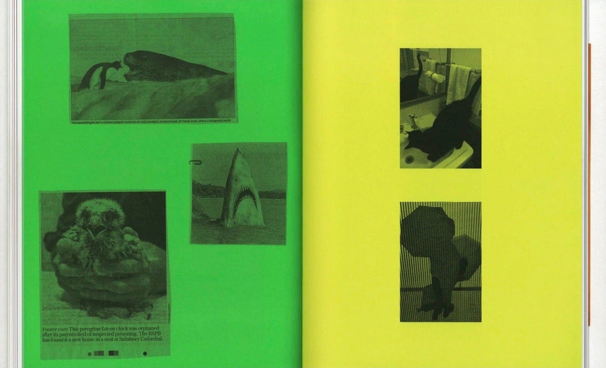 Marton Perlaki, The Third Hand, inside pages 9