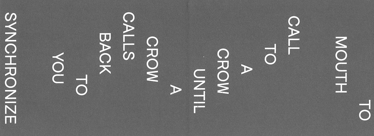 David Horvitz — Call To A Crow, inside pages 2