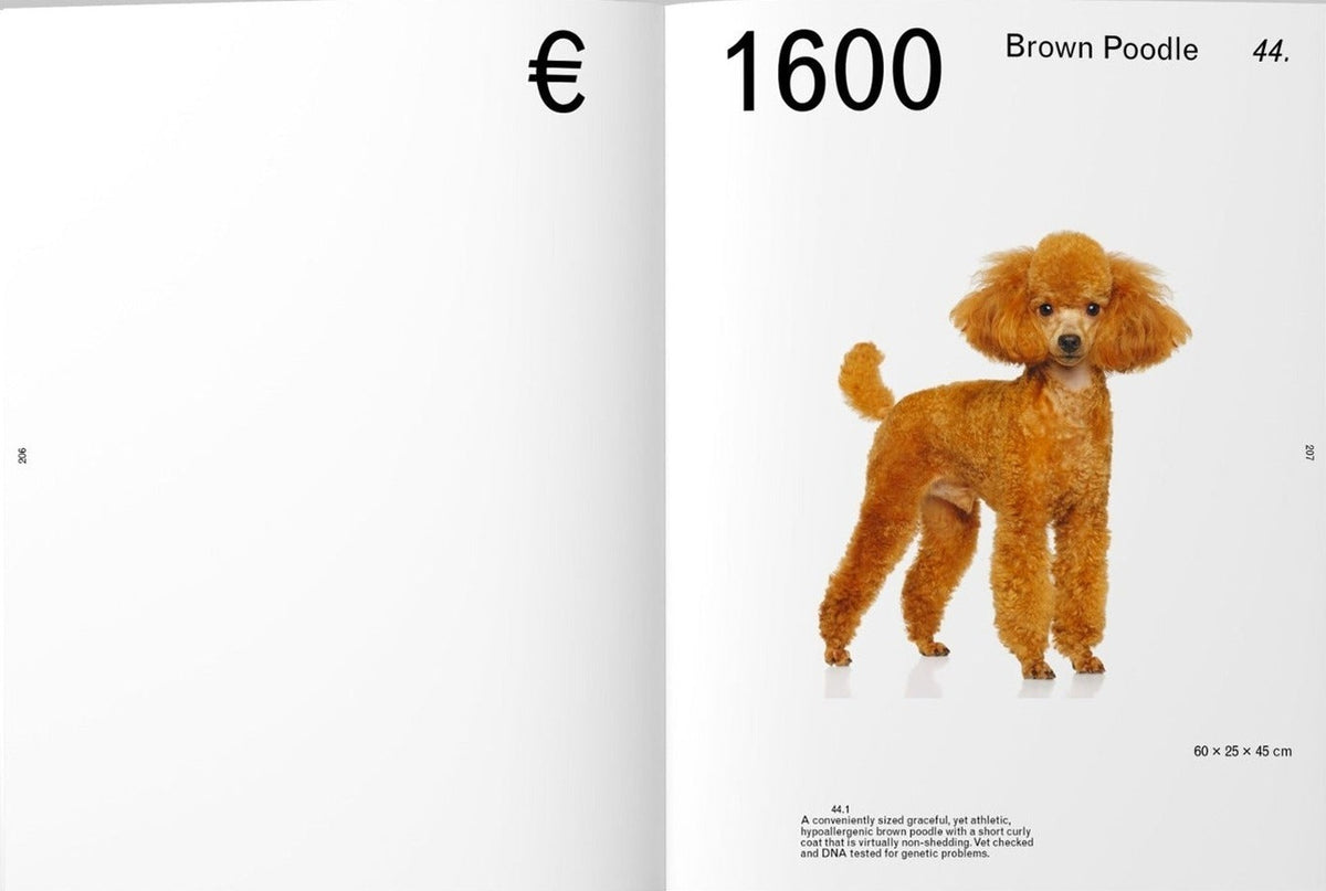 Zsofia Kollar — Object-Oriented Identity, inside pages 5