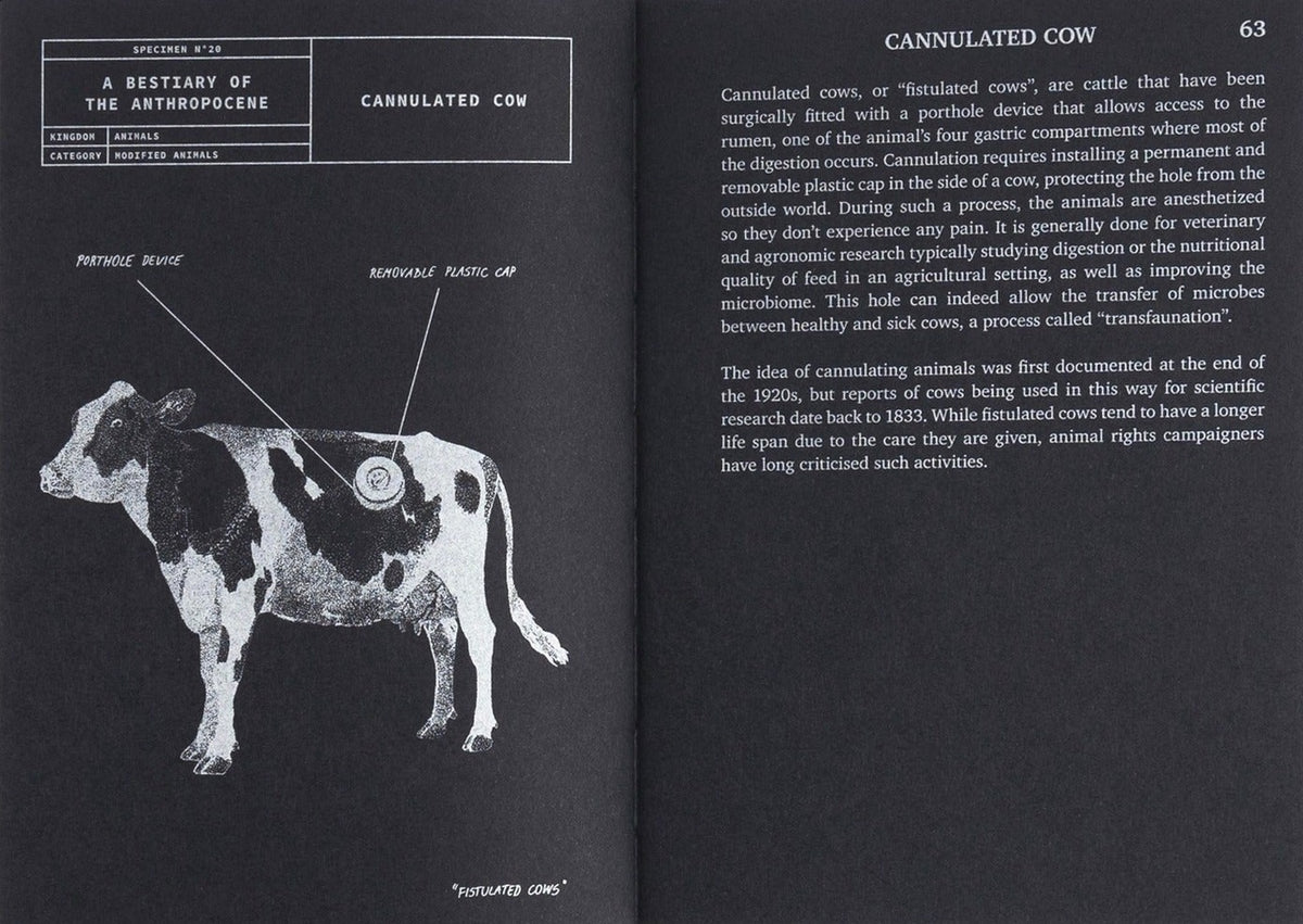 A Bestiary of the Anthropocene: Hybrid plants, animals, minerals, fungi, and other specimens, inside pages 2