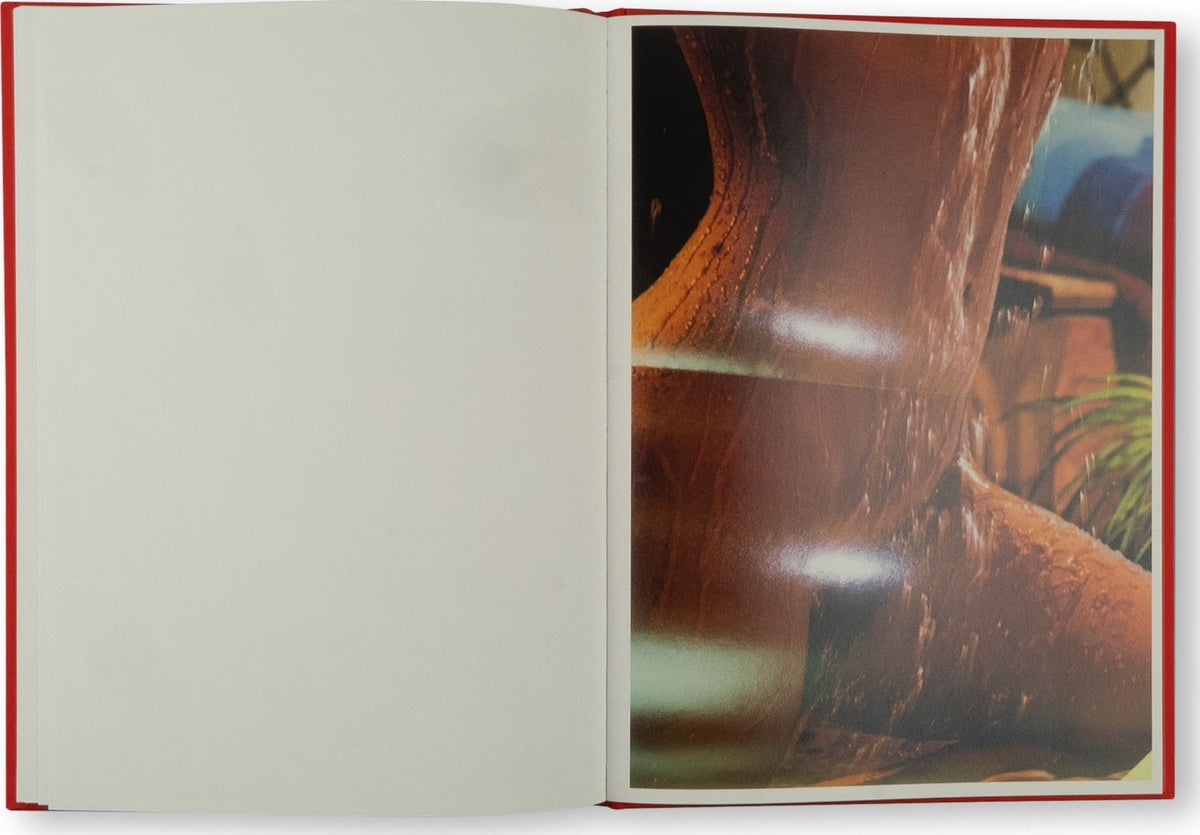 Jurgen Maelfeyt — WET, inside pages 2