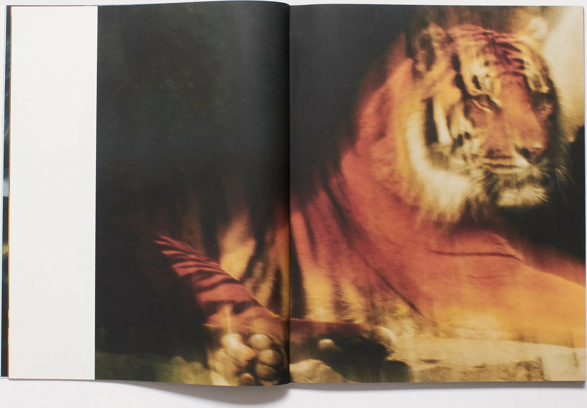 Footnote — Issue 2: The Merchant of Colours, inside pages 2