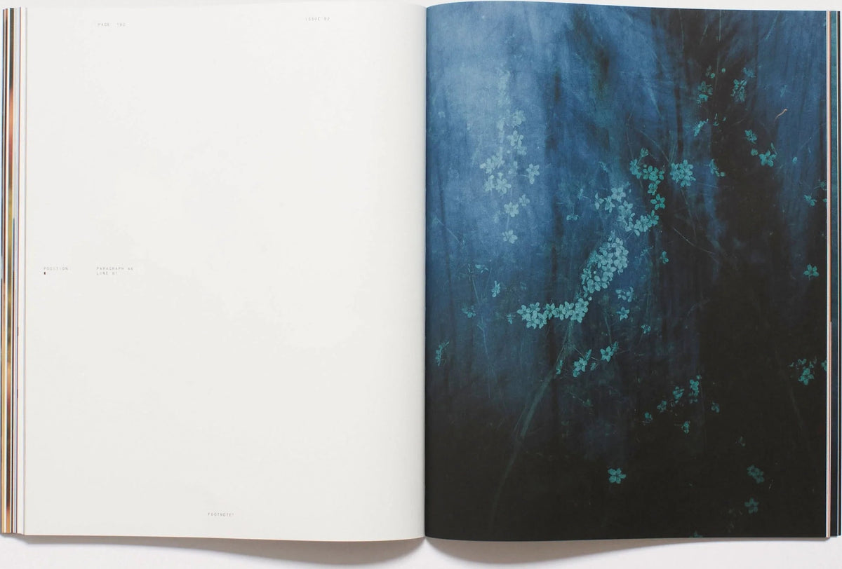 Footnote — Issue 2: The Merchant of Colours, inside pages 8