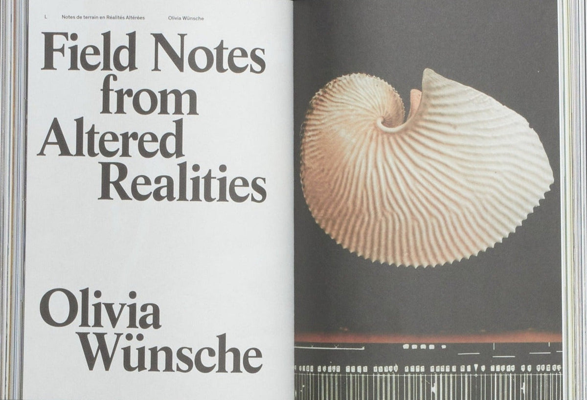 Acid Magazine, Issue 7: Waves of Consequences, inside pages 3