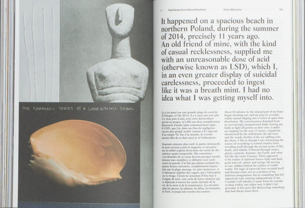 Acid Magazine, Issue 7: Waves of Consequences, inside pages 4