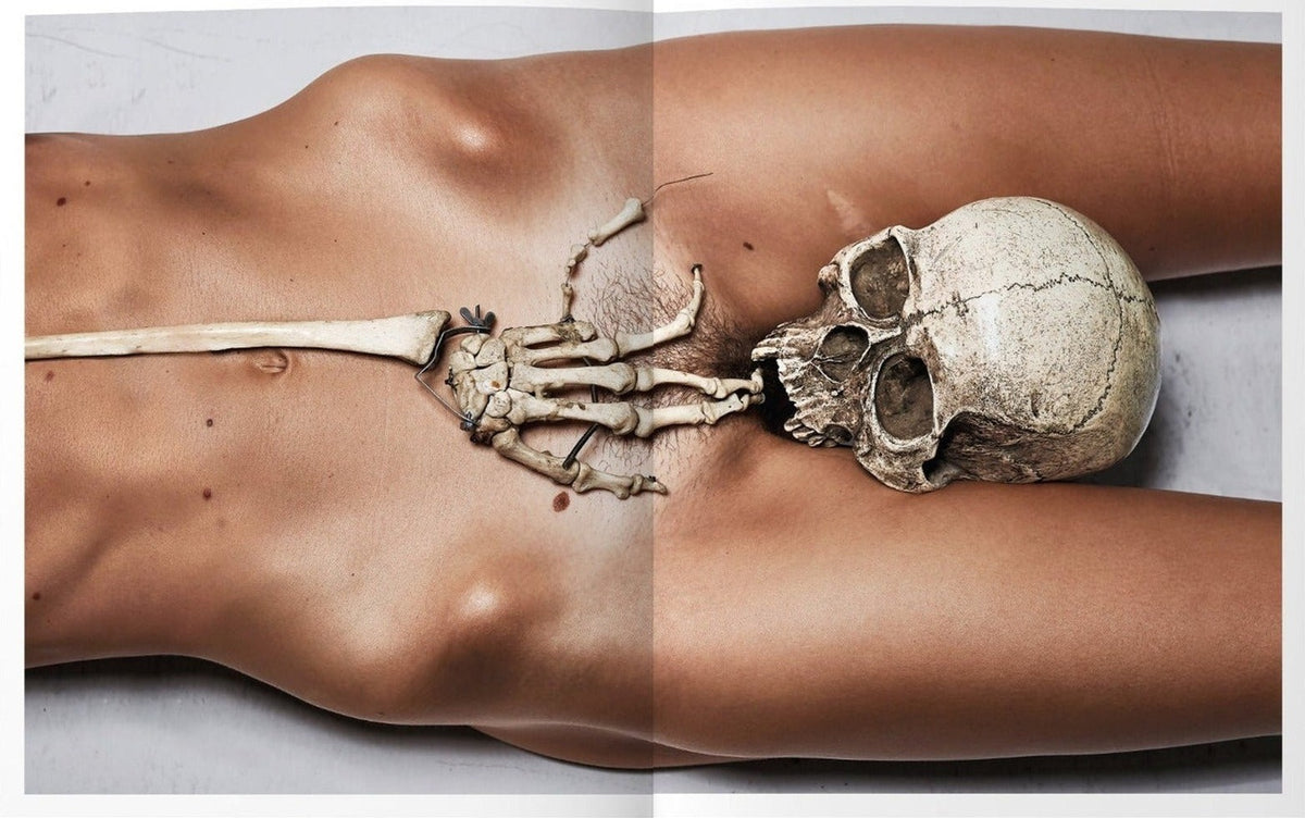 Donna Trope, La Petite Morte, inside pages 6