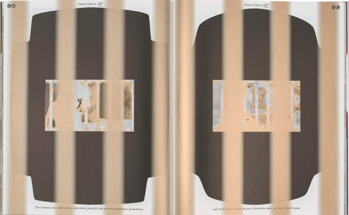 Sharon Van Overmeiren, Jacuzzi of Despair, inside pages 5