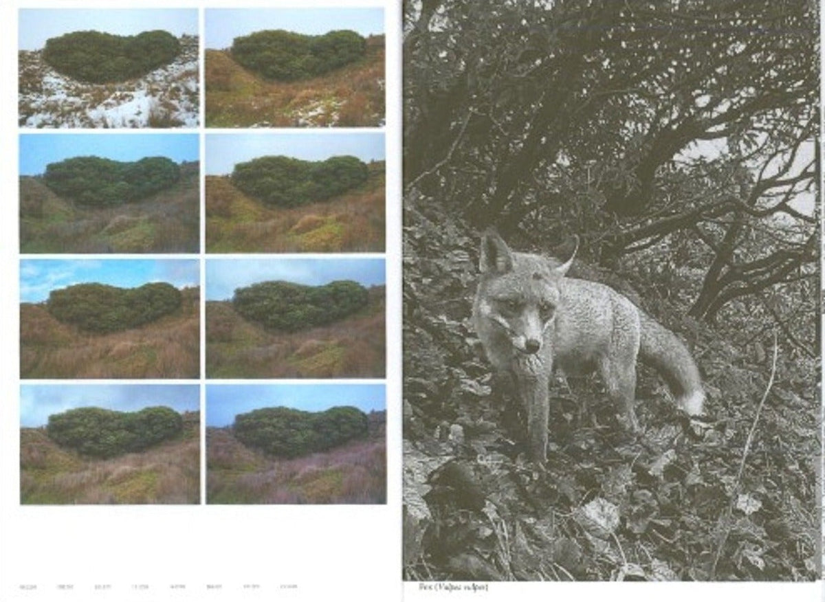 Yan Wang Preston, With Love. From an Invader: Rhododendrons, Empire, China and Me, inside pages 2