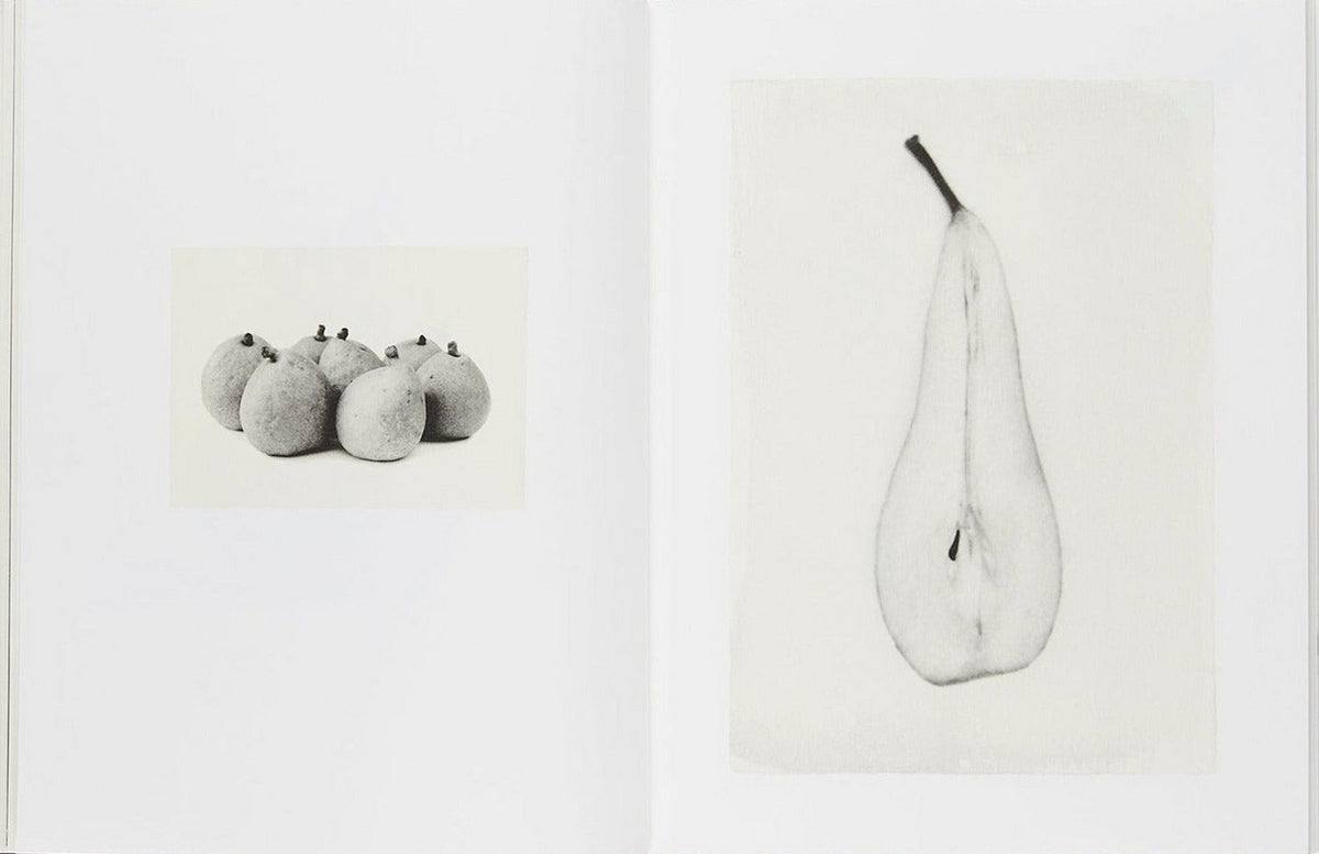 Sachiko Morita, Time in Air, Time in Paper, inside pages 5