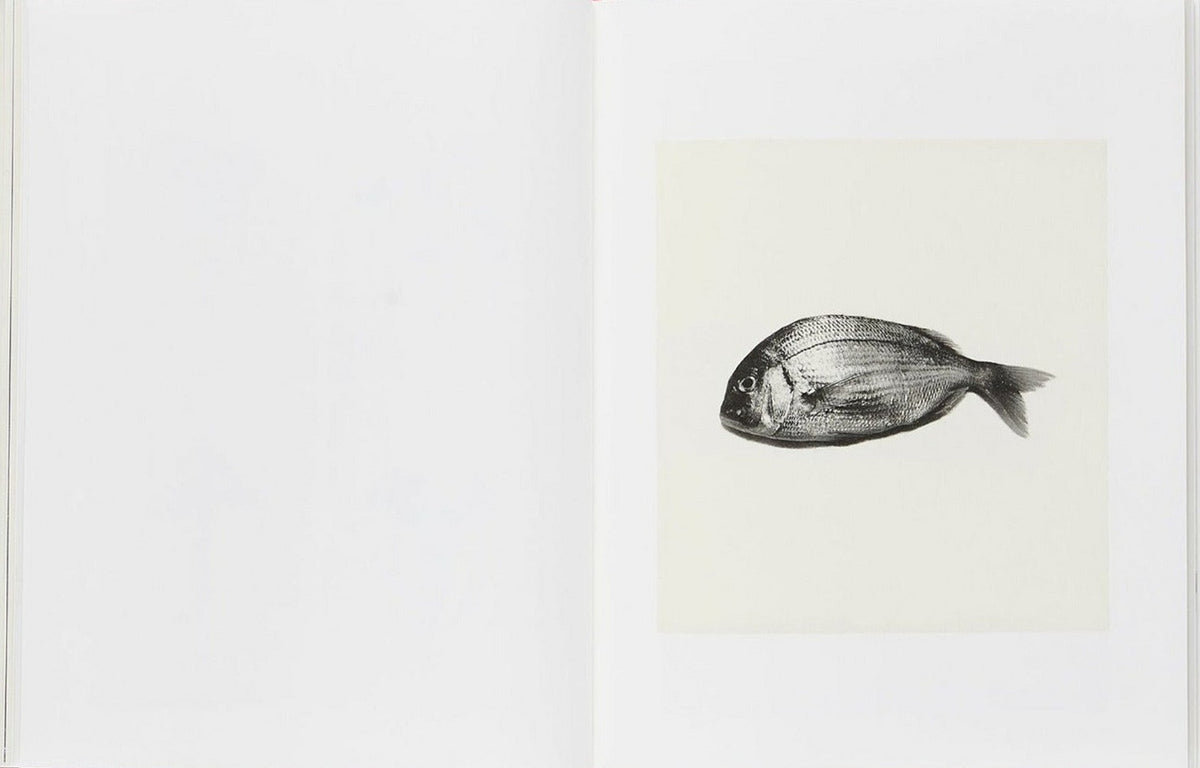 Sachiko Morita, Time in Air, Time in Paper, inside pages 7
