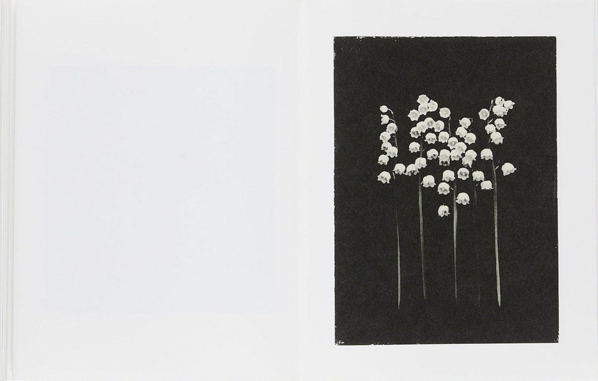 Sachiko Morita, Time in Air, Time in Paper, inside pages 11