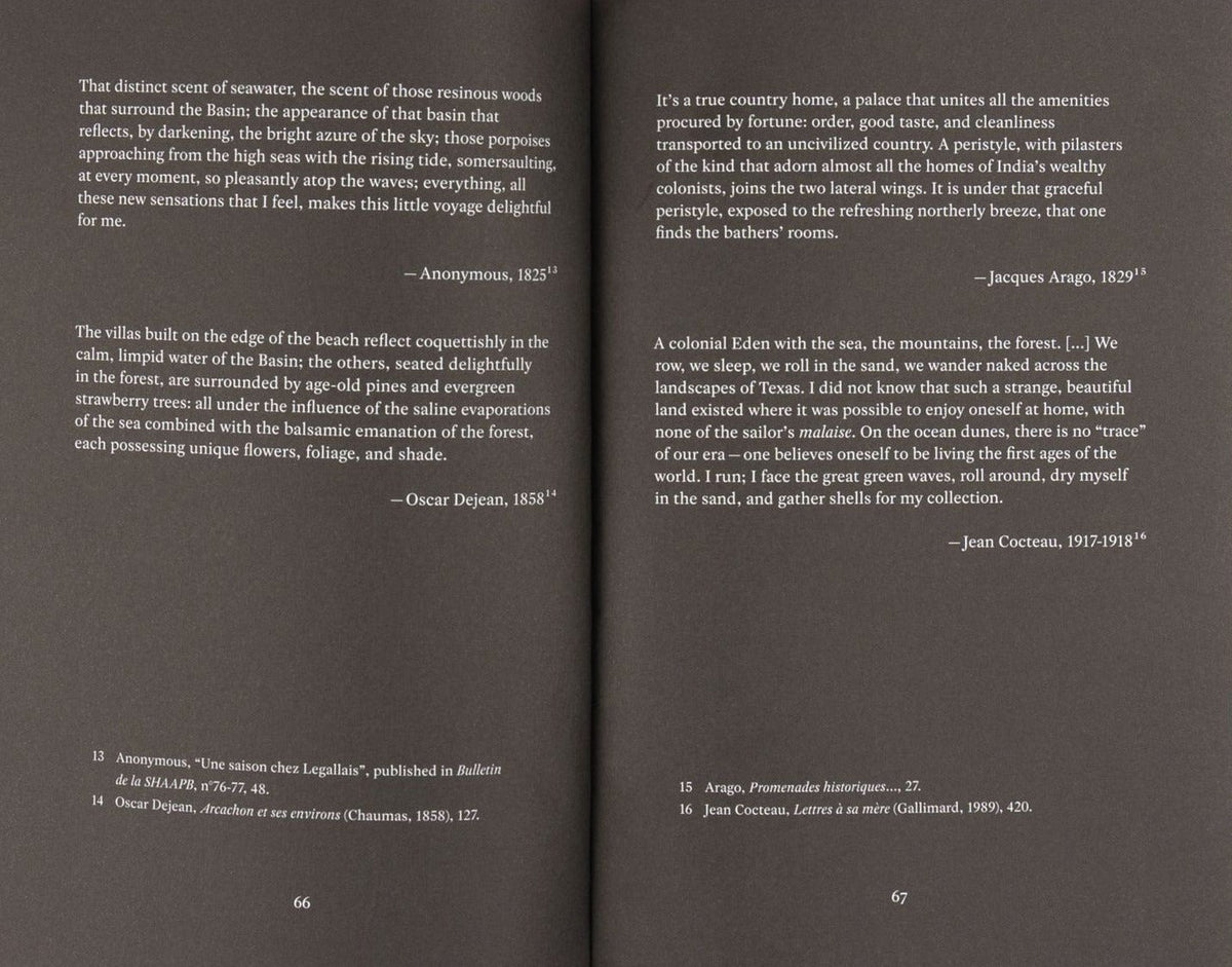 Pierre Cassou-Noguès & Gwenola Wagon, The Pyromaniac Images: Theory-Fiction of Generative AI, inside pages 7