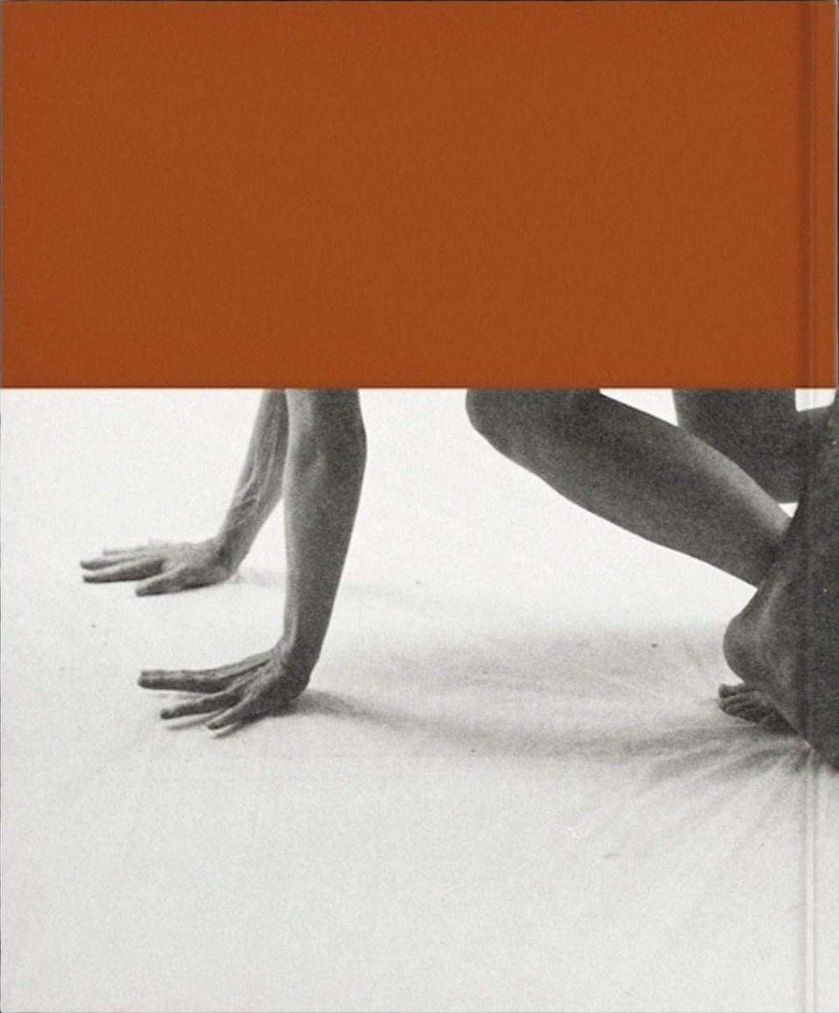 Lore Stessel, As the Sky Remembers the Sea, inside pages 12