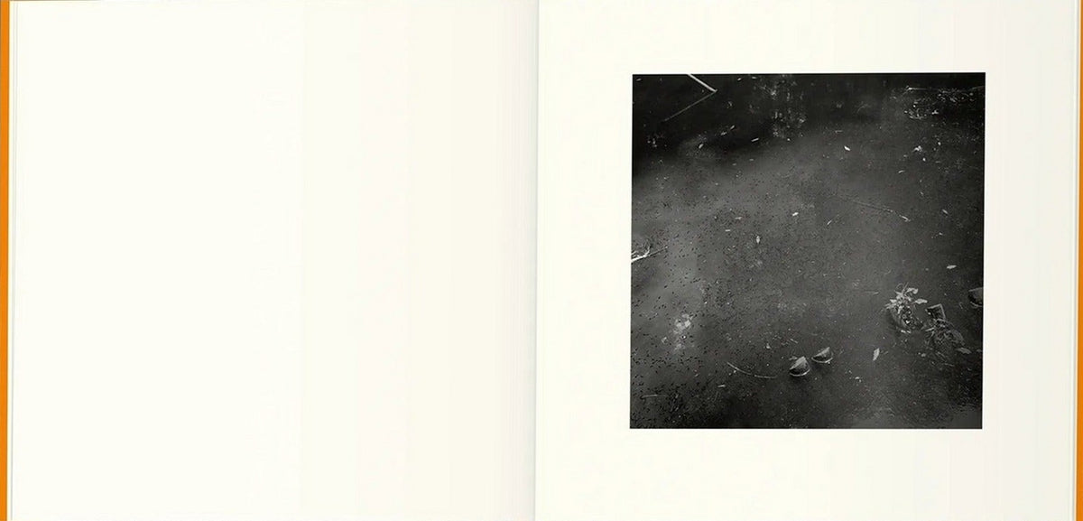 A Long Interview with Kozo Miyoshi, inside pages 10