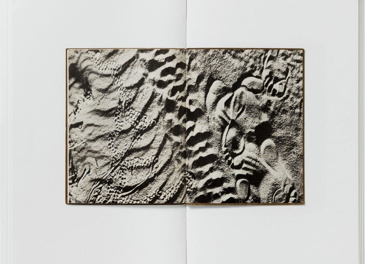 John Morgan, Baskerville's Teardrop Explodes: A Selection of Books as Muses, inside pages 10