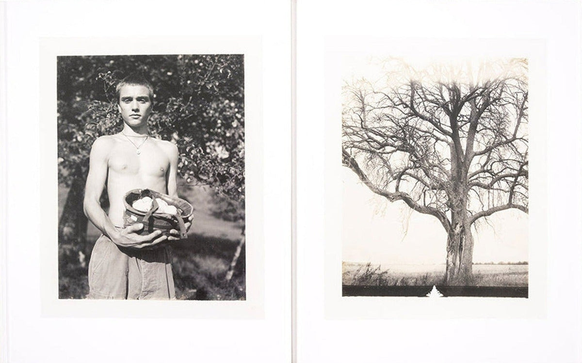 Collier Schorr, August, inside pages 4
