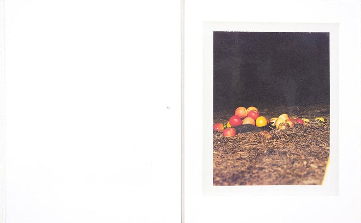 Collier Schorr, August, inside pages 5