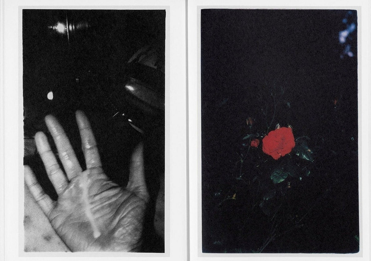 Jesse Glazzard, The Sound of Dirt and Beauty, inside pages 7
