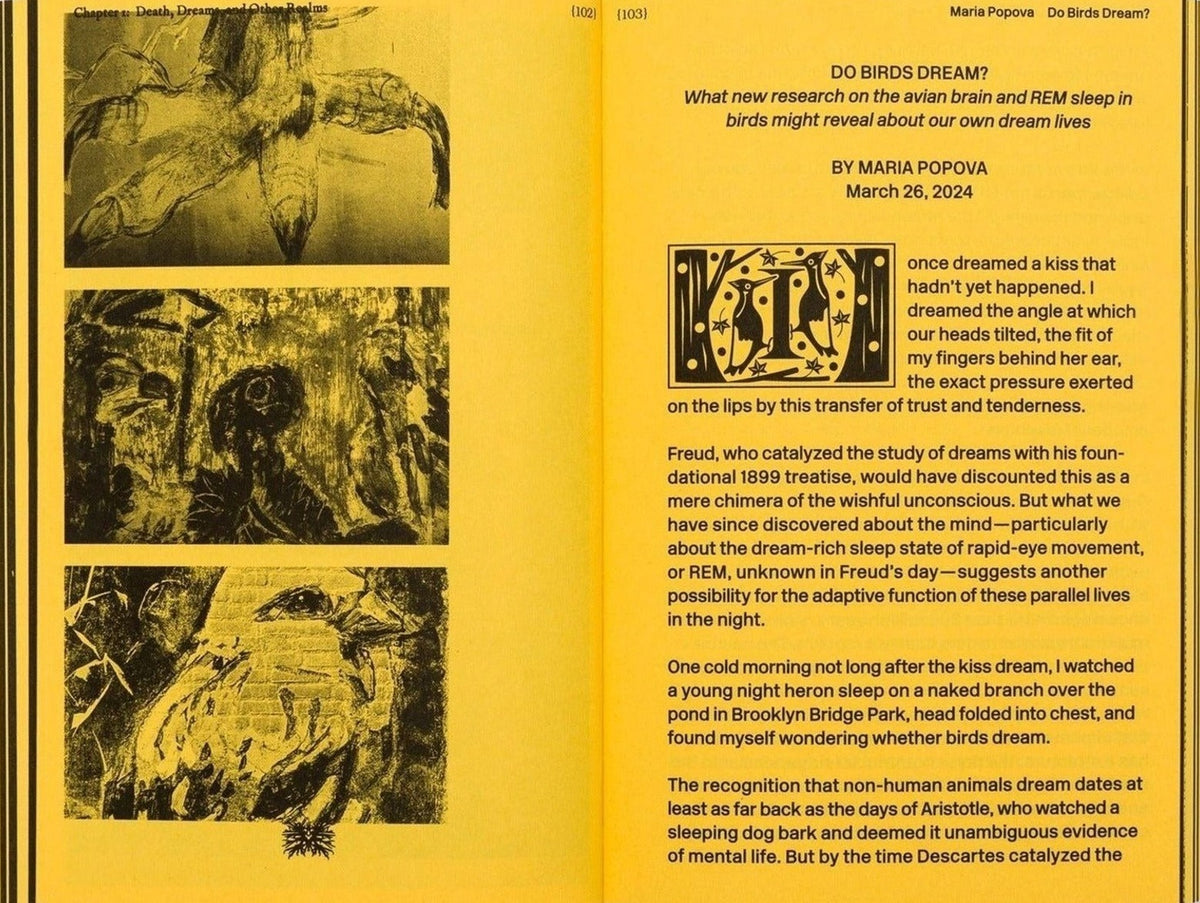 Marjolein van der Loo - With a Bird, A Reader on Avian Kinship, inside pages 3