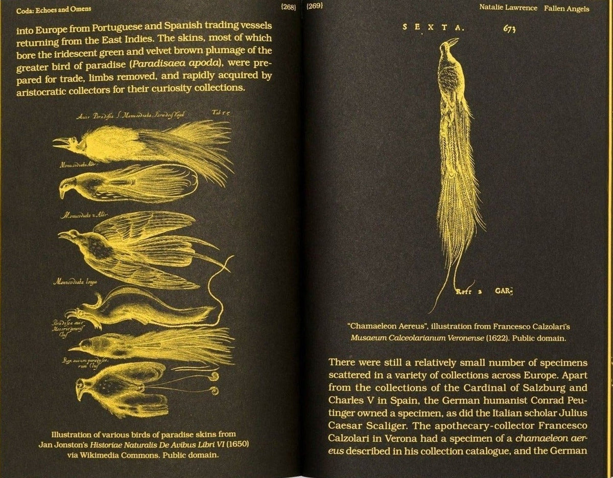 Marjolein van der Loo - With a Bird, A Reader on Avian Kinship, inside pages 6