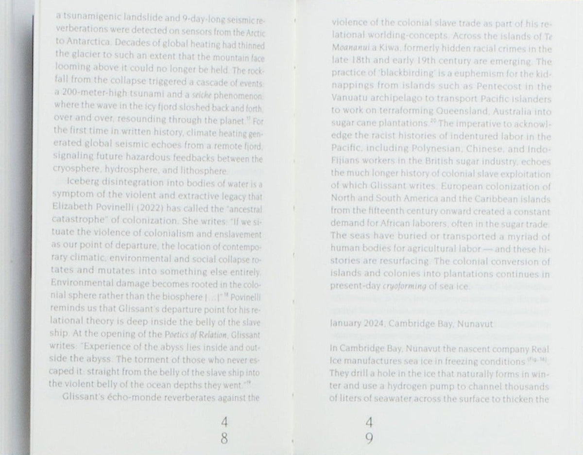 Mediterranean Icebergs: Invisible Connections Underwater, inside pages 8
