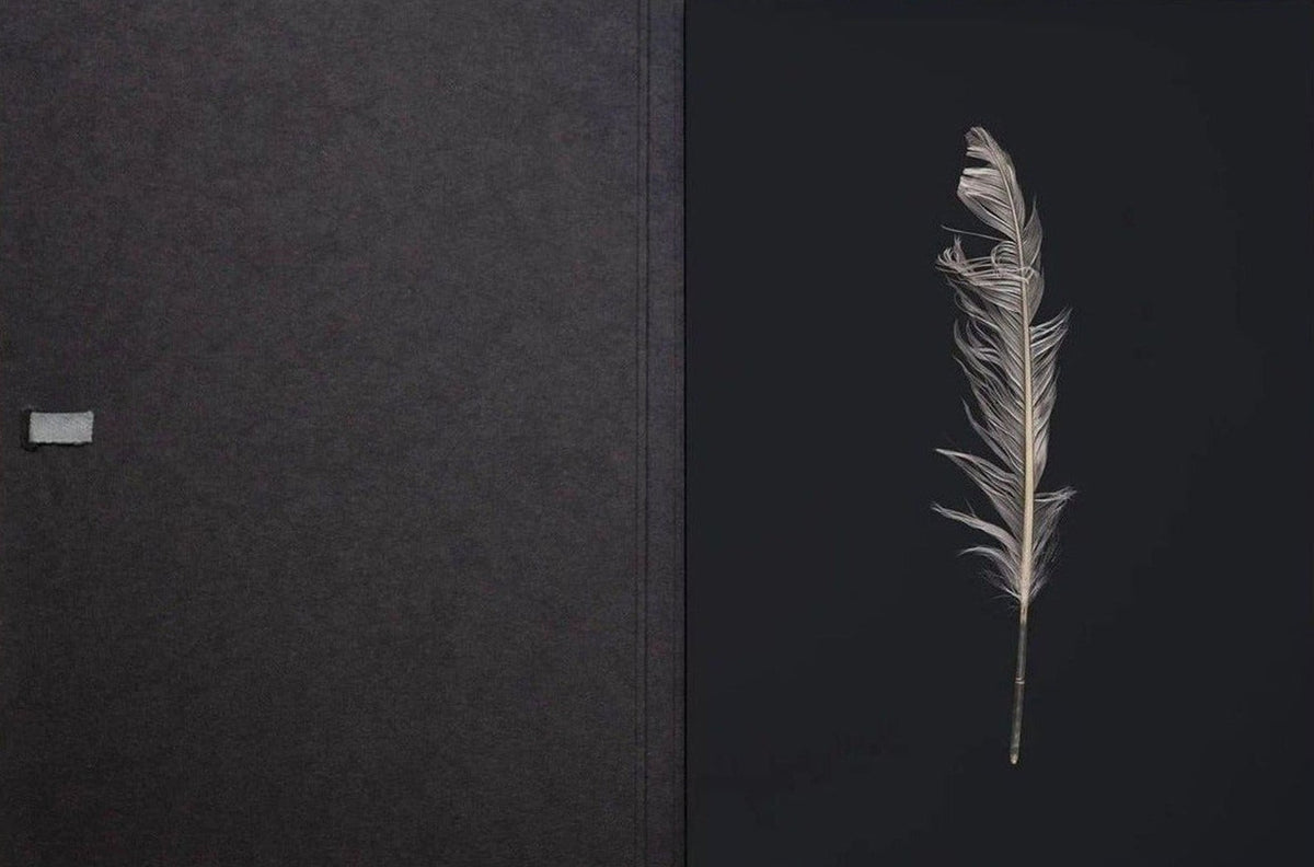 Henrik Capetillo, The Weight of a Feather, inside pages 2