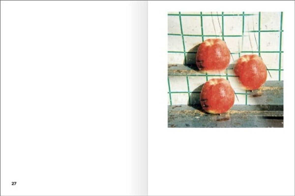 Jason Fulford & Bruno Munari, 47 Fotos, inside pages 2